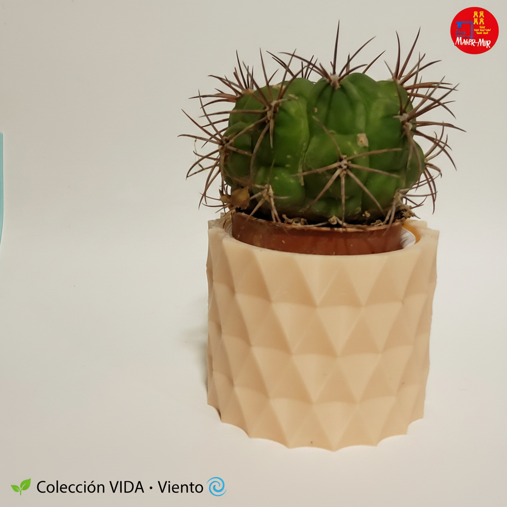 VIDA Viento 🌀 con logo MM